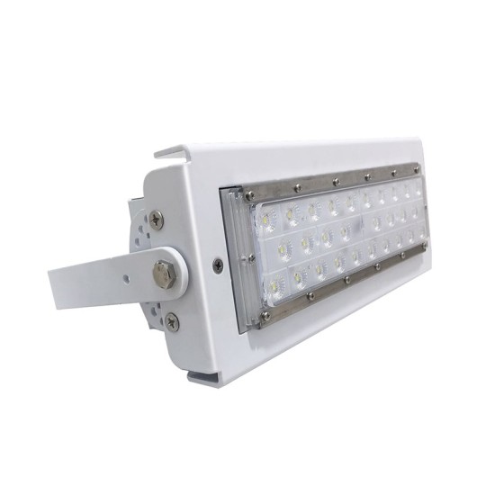 50W LED Modular Flood Light