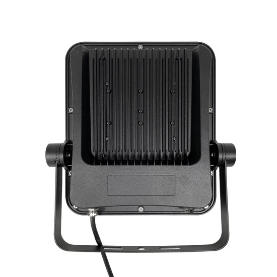 100W LED Flood Light