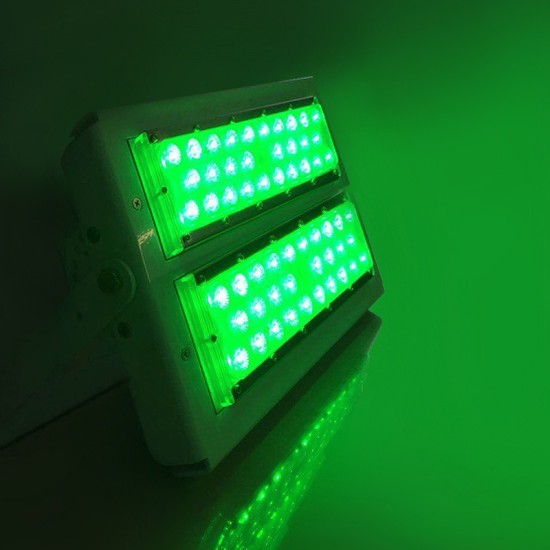 80W RGB LED Flood Light